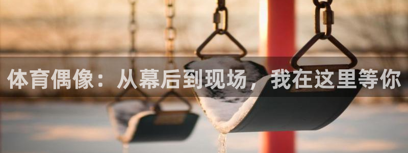 斗球直播免费观看