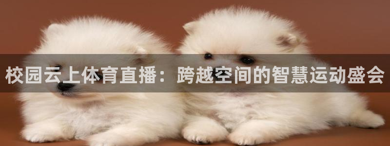 斗球直播app下载旧版：校园云上体育直播：跨越空间的智慧运动盛会