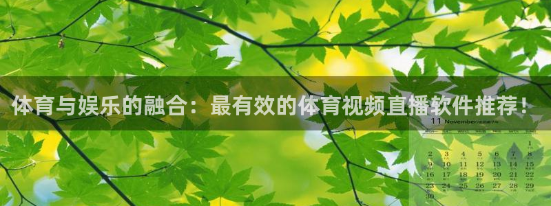 斗球直播吧：体育与娱乐的融合：最有效的体育视频直播软件推荐！