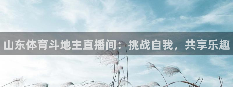 斗球直播体育：山东体育斗地主直播间：挑战自我，共享乐趣