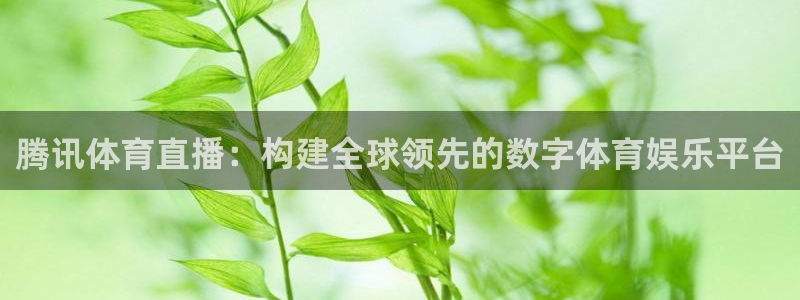 斗球体育直播官网：腾讯体育直播：构建全球领先的数字体育娱乐平台