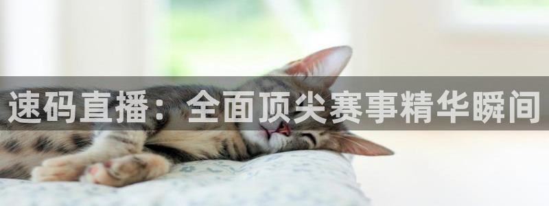 斗球直播平台下载：速码直播：全面顶尖赛事精华瞬间