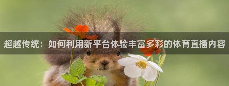 斗球下载：超越传统：如何利用新平台体验丰富多彩的体育直播内容