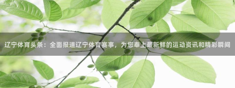 斗球直播ios版：辽宁体育头条：全面报道辽宁体育赛事，为您奉上最新鲜的运动资讯和精彩瞬间